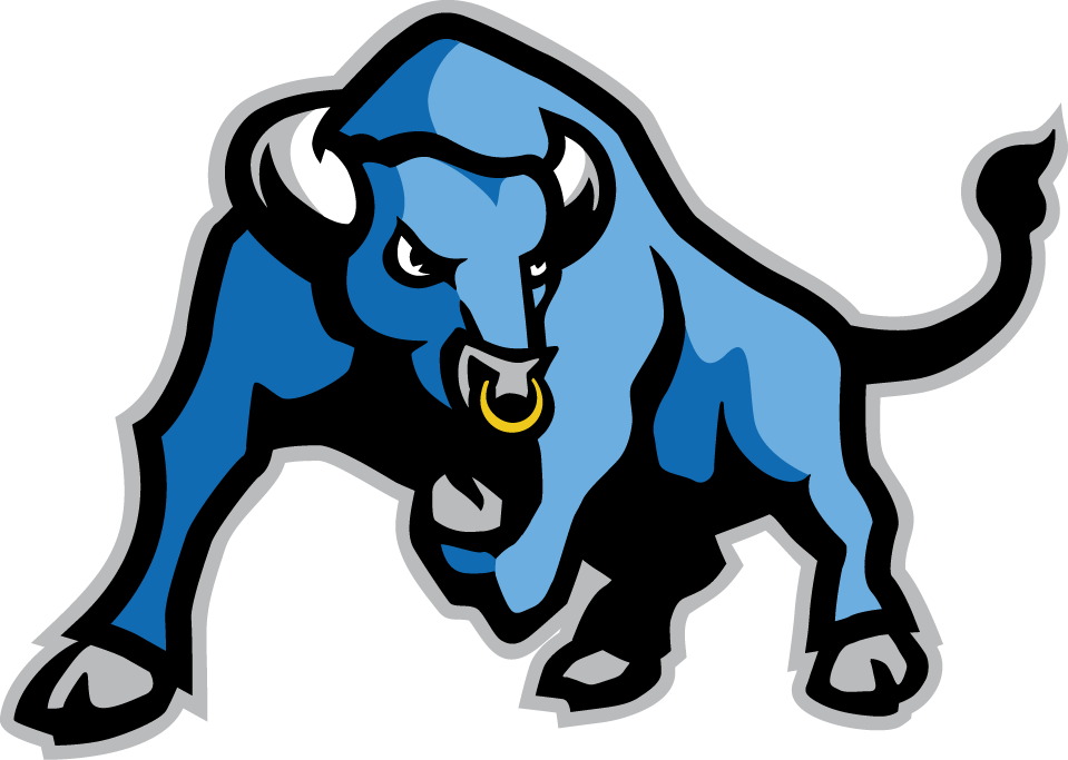 Buffalo Bulls 2007-Pres Alternate Logo diy iron on heat transfer